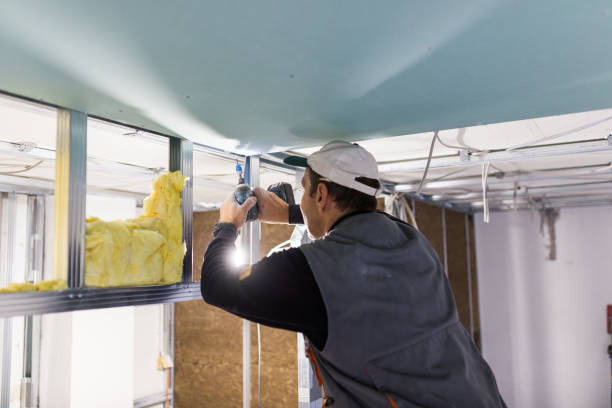 Best Local Insulation Services  in Mcadenville, NC