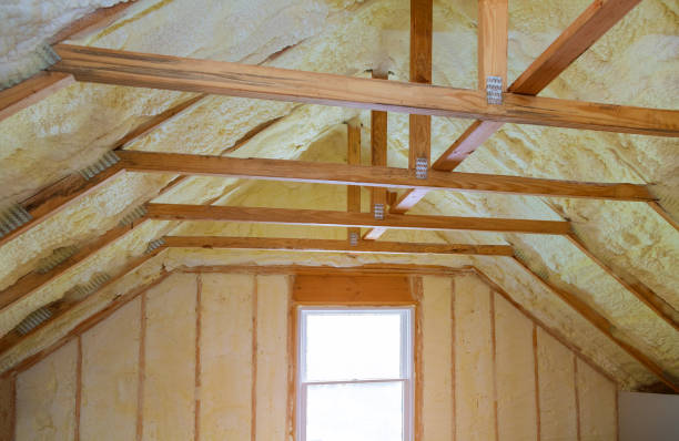 Best Insulation Inspection Services  in Mcadenville, NC