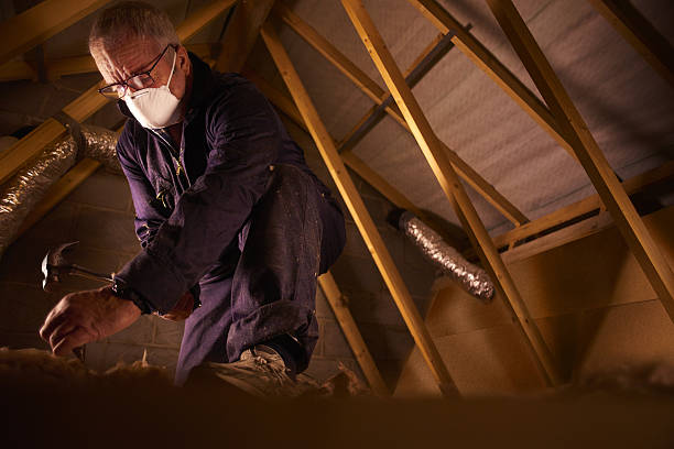 Best Fiberglass Insulation  in Mcadenville, NC