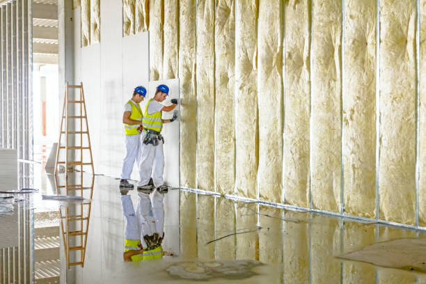Best Soundproof Insulation Installation  in Mcadenville, NC